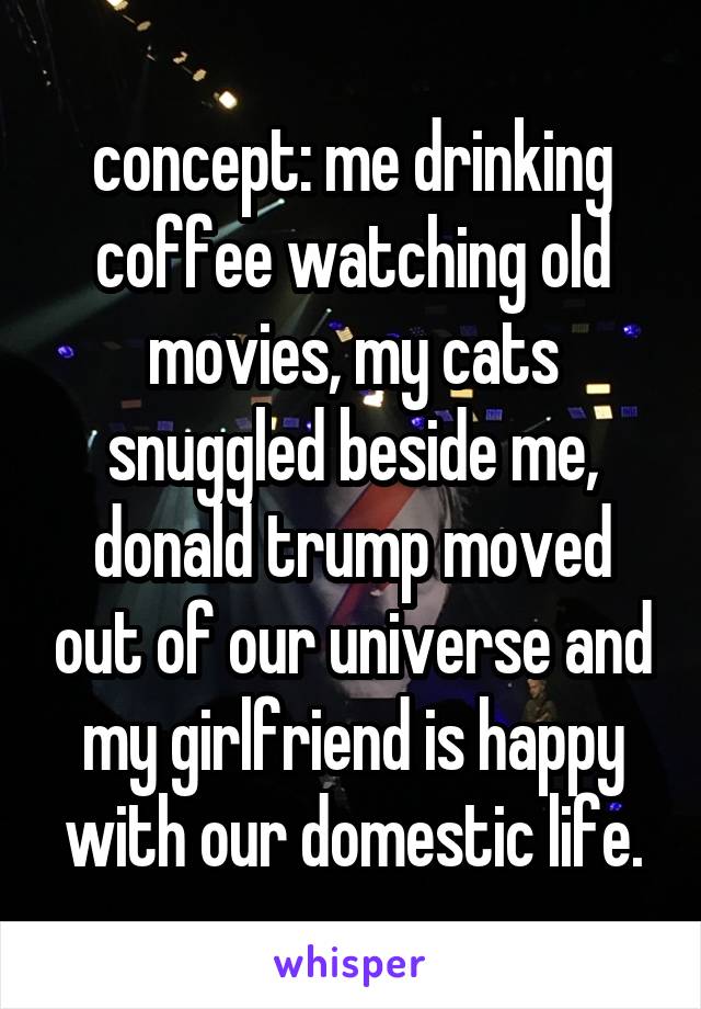 concept: me drinking coffee watching old movies, my cats snuggled beside me, donald trump moved out of our universe and my girlfriend is happy with our domestic life.