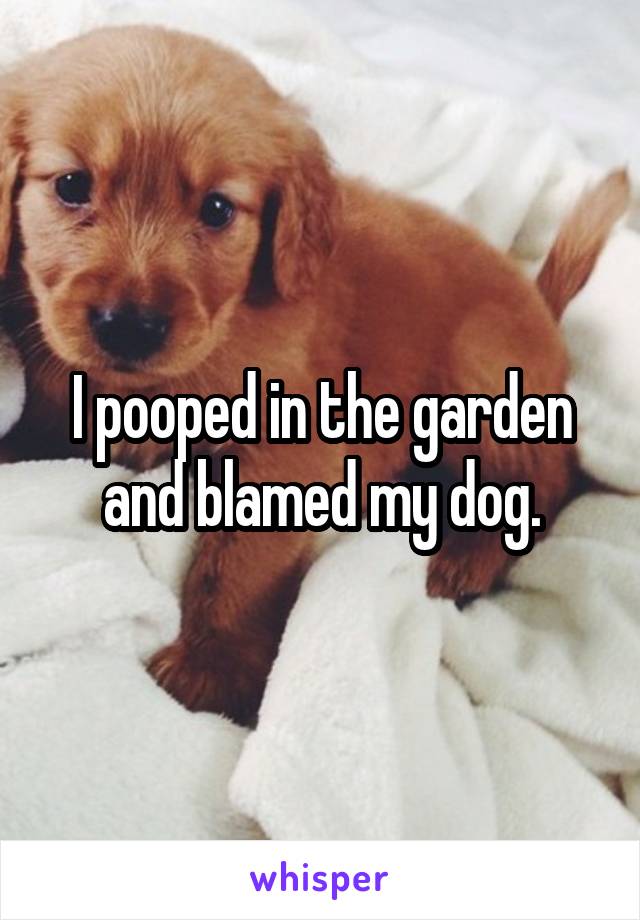 I pooped in the garden and blamed my dog.