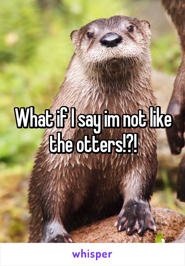 What if I say im not like the otters!?!