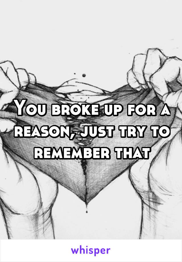 You broke up for a reason, just try to remember that