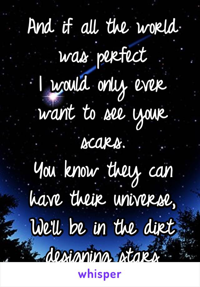 And if all the world was perfect
I would only ever want to see your scars.
You know they can have their universe,
We'll be in the dirt designing stars