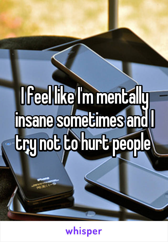 I feel like I'm mentally insane sometimes and I try not to hurt people 