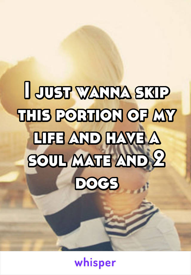 I just wanna skip this portion of my life and have a soul mate and 2 dogs