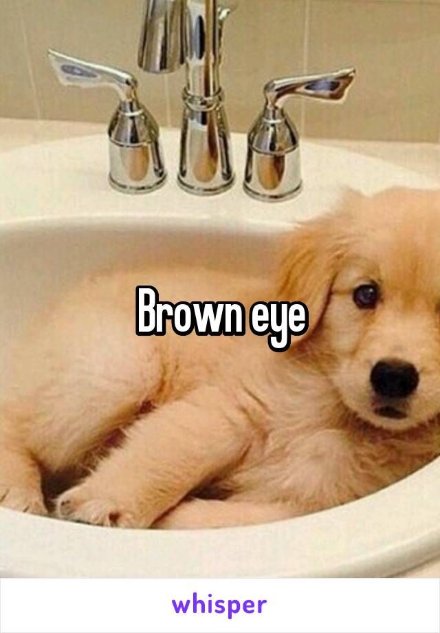 Brown eye