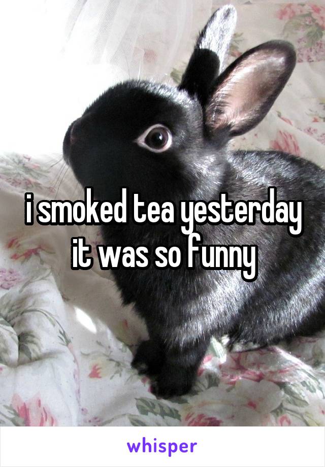 i smoked tea yesterday it was so funny