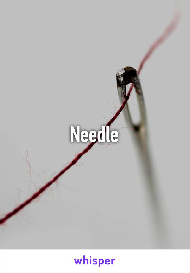 Needle