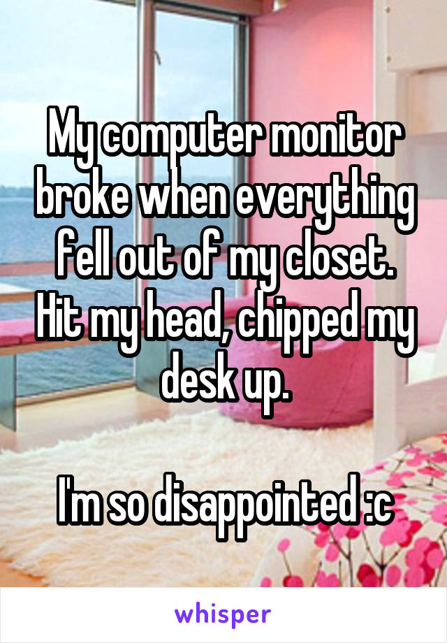 My computer monitor broke when everything fell out of my closet. Hit my head, chipped my desk up.

I'm so disappointed :c