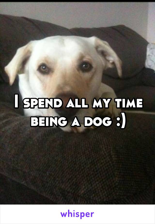 I spend all my time being a dog :)