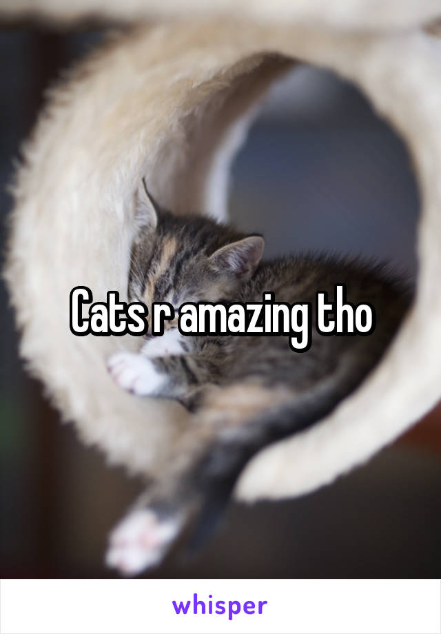 Cats r amazing tho