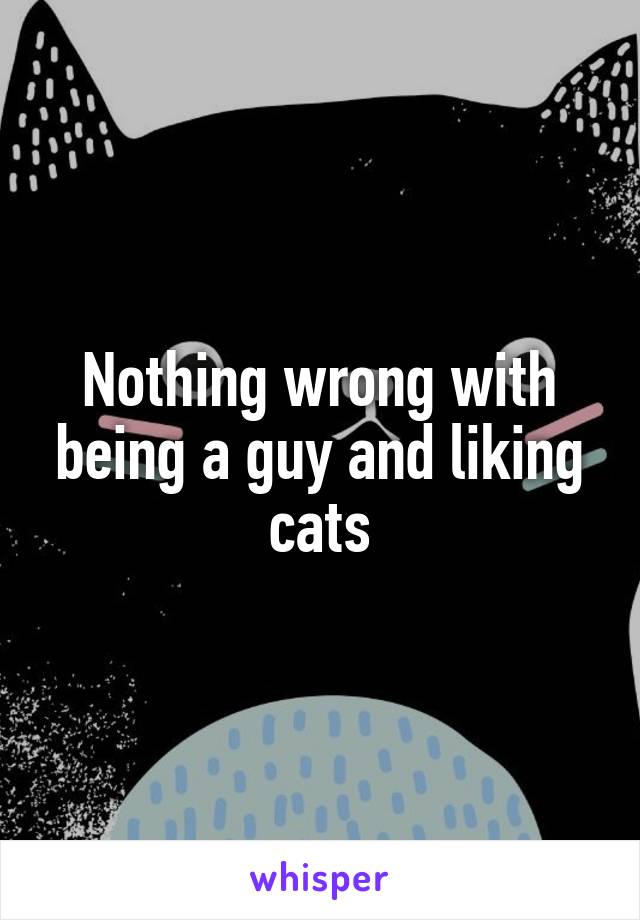 Nothing wrong with being a guy and liking cats