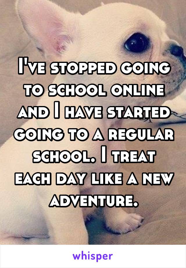 I've stopped going to school online and I have started going to a regular school. I treat each day like a new adventure.