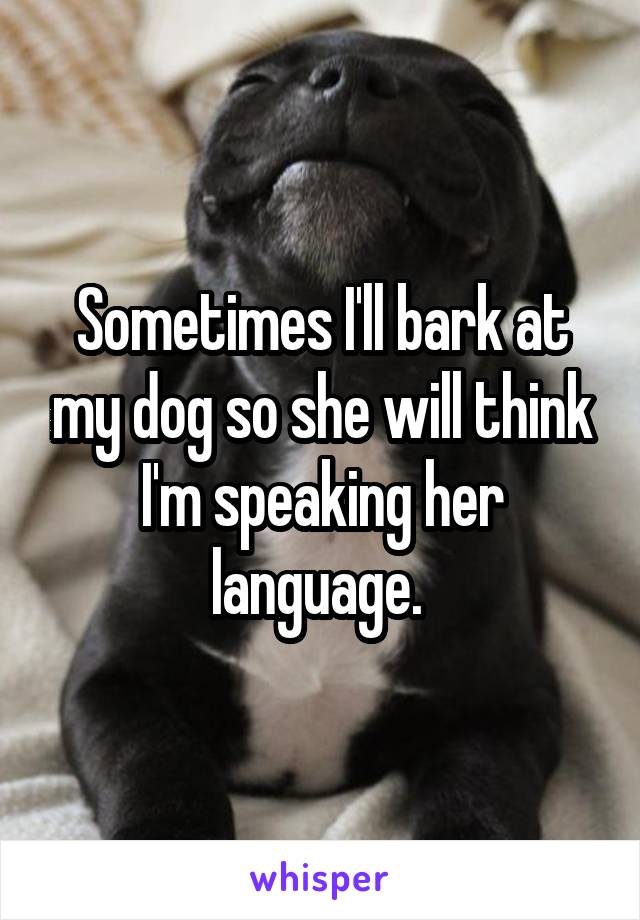 Sometimes I'll bark at my dog so she will think I'm speaking her language. 