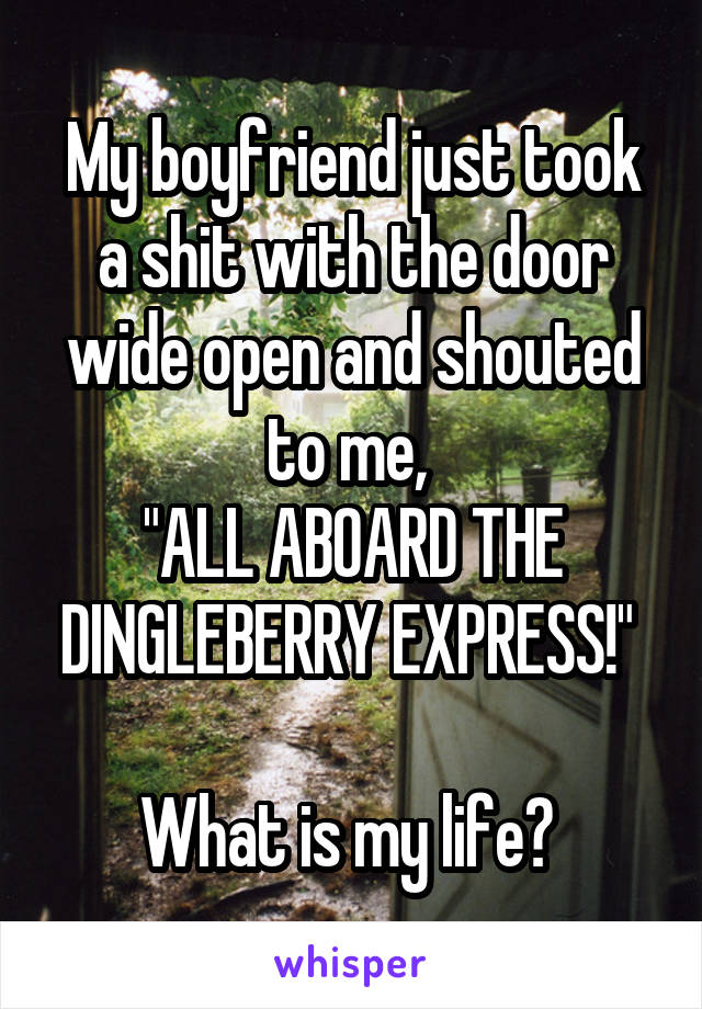 My boyfriend just took a shit with the door wide open and shouted to me, 
"ALL ABOARD THE DINGLEBERRY EXPRESS!" 

What is my life? 