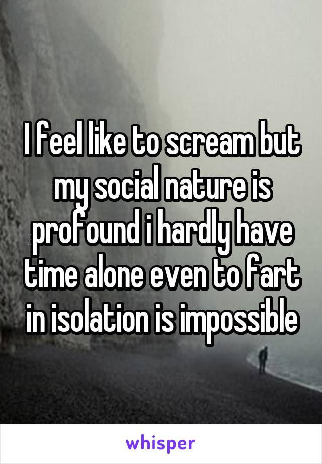 I feel like to scream but my social nature is profound i hardly have time alone even to fart in isolation is impossible