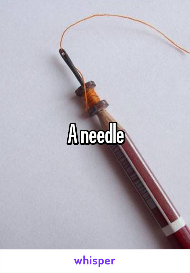 A needle