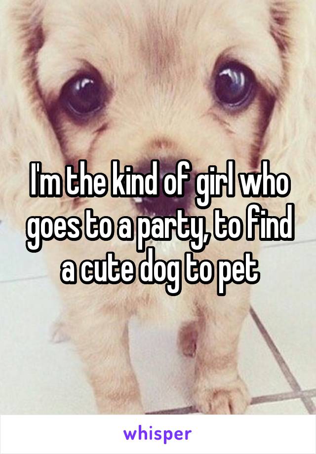 I'm the kind of girl who goes to a party, to find a cute dog to pet