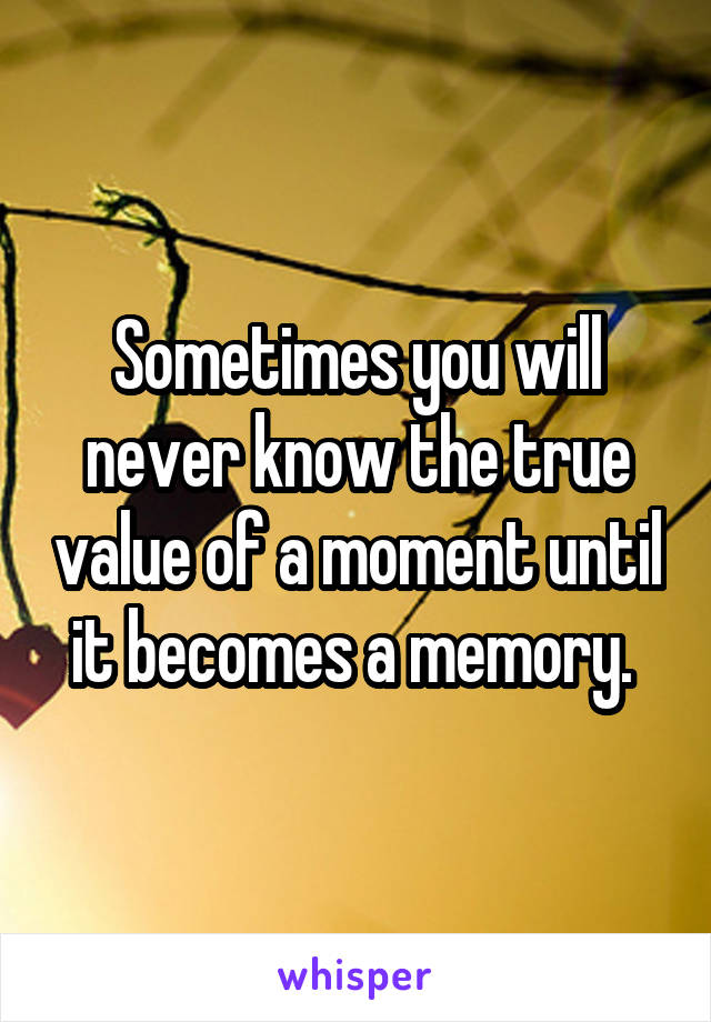 Sometimes you will never know the true value of a moment until it becomes a memory. 