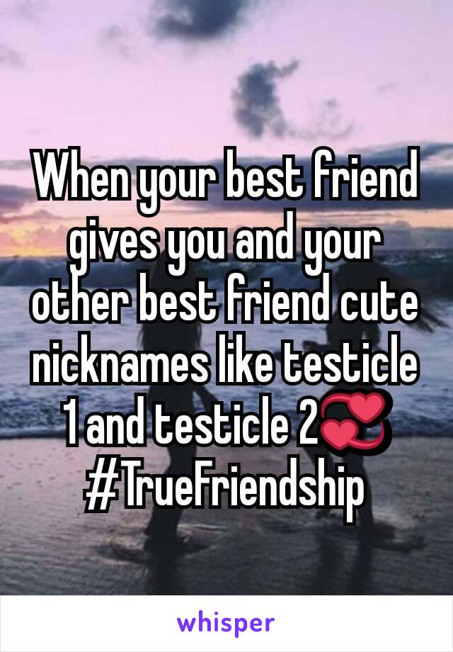 When your best friend gives you and your other best friend cute nicknames like testicle 1 and testicle 2💞
#TrueFriendship