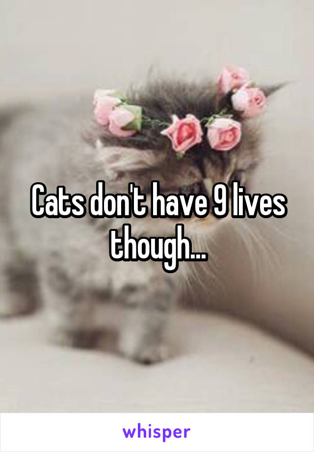 Cats don't have 9 lives though...