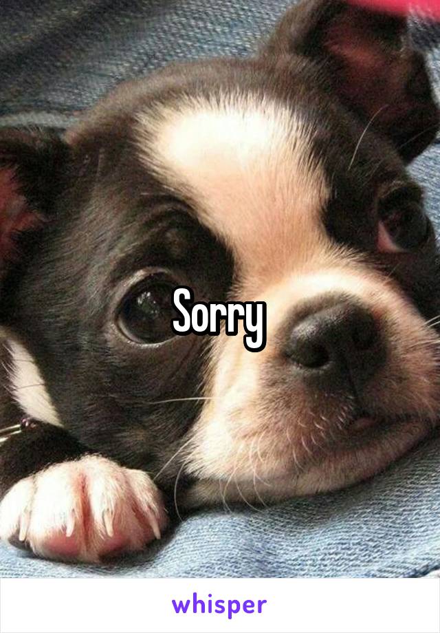 Sorry 