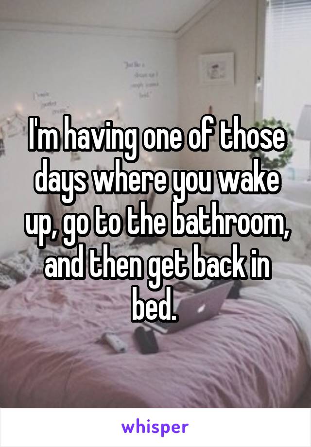 I'm having one of those days where you wake up, go to the bathroom, and then get back in bed. 