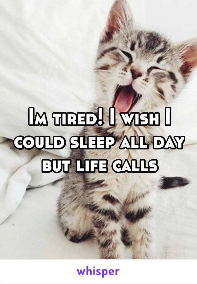 Im tired! I wish I could sleep all day but life calls