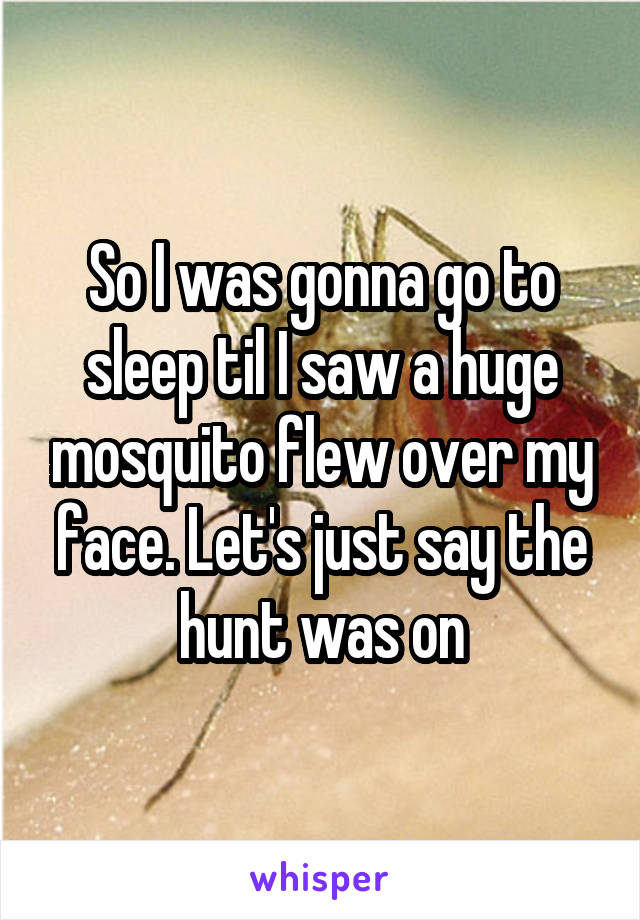 So I was gonna go to sleep til I saw a huge mosquito flew over my face. Let's just say the hunt was on