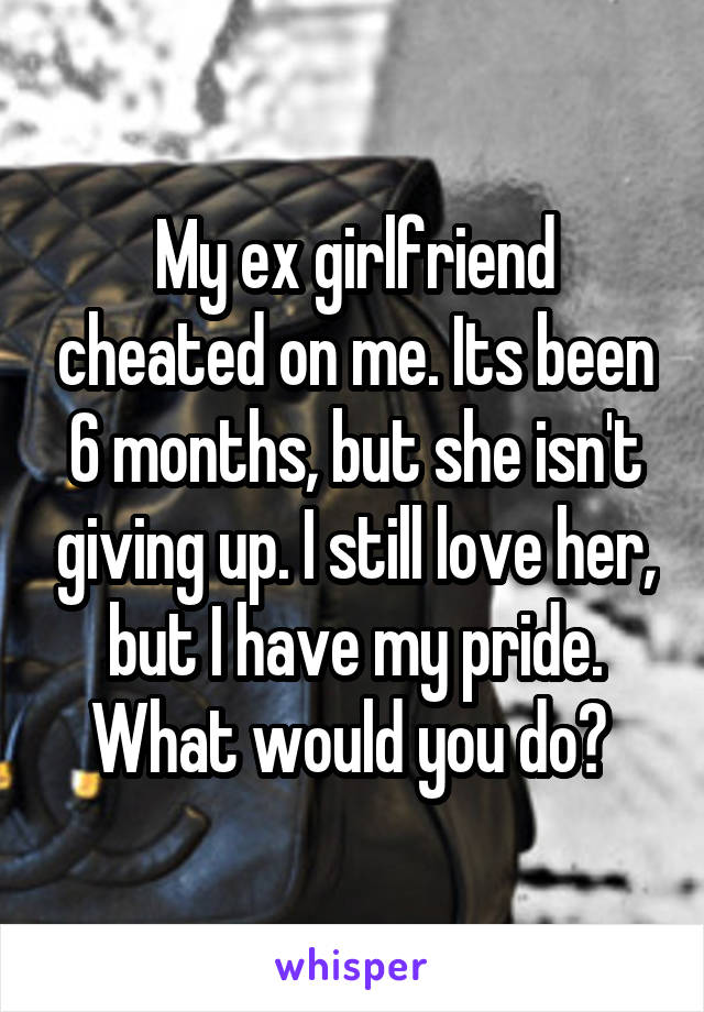 My ex girlfriend cheated on me. Its been 6 months, but she isn't giving up. I still love her, but I have my pride. What would you do? 