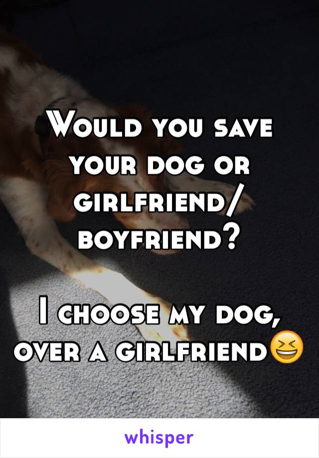 Would you save your dog or girlfriend/boyfriend?

I choose my dog, over a girlfriend😆