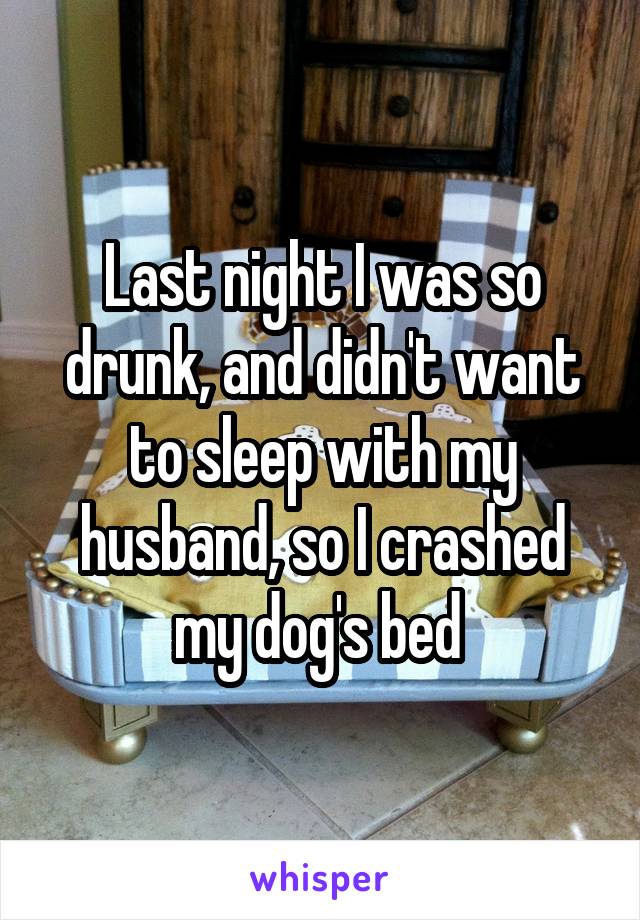 Last night I was so drunk, and didn't want to sleep with my husband, so I crashed my dog's bed 