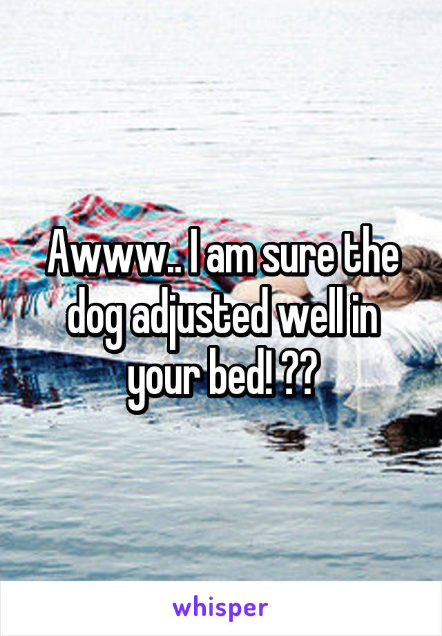 Awww.. I am sure the dog adjusted well in your bed! 😆😆