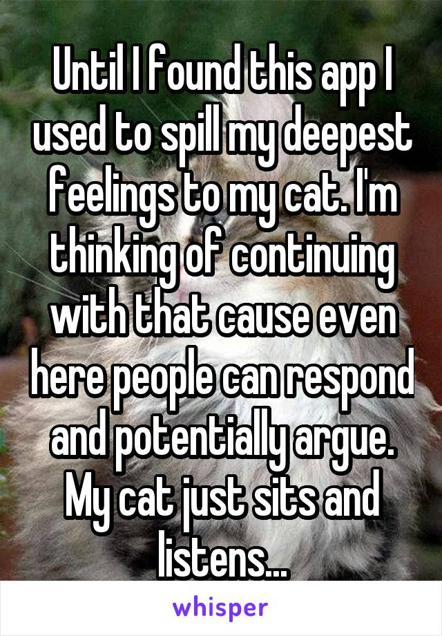 Until I found this app I used to spill my deepest feelings to my cat. I'm thinking of continuing with that cause even here people can respond and potentially argue. My cat just sits and listens...