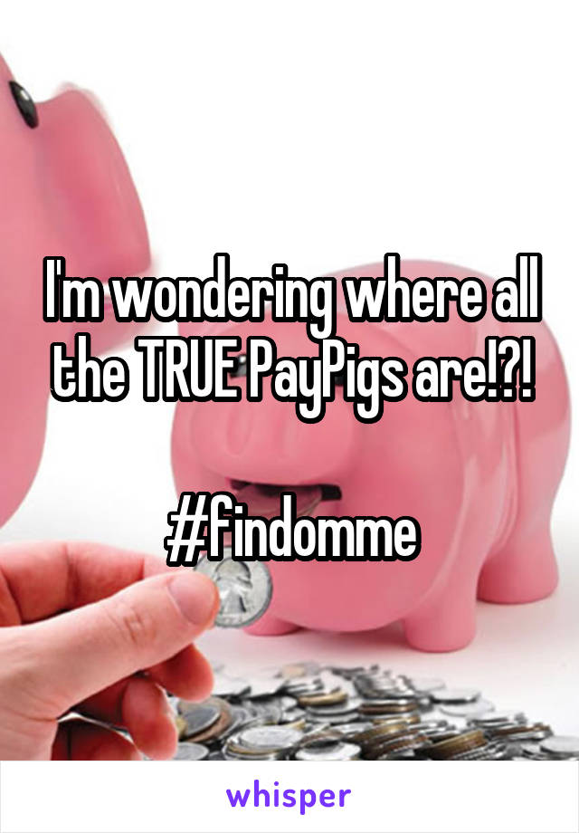 I'm wondering where all the TRUE PayPigs are!?!

#findomme