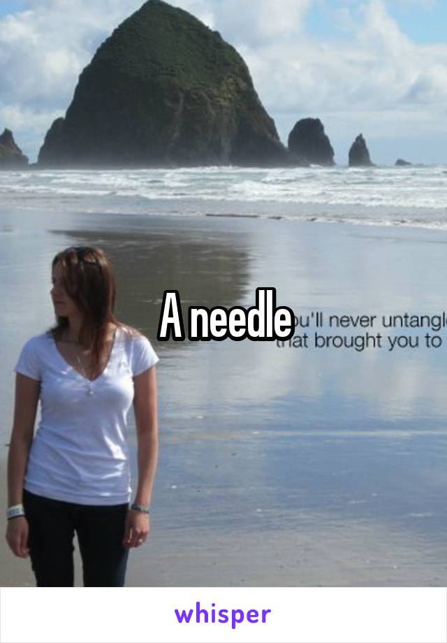 A needle