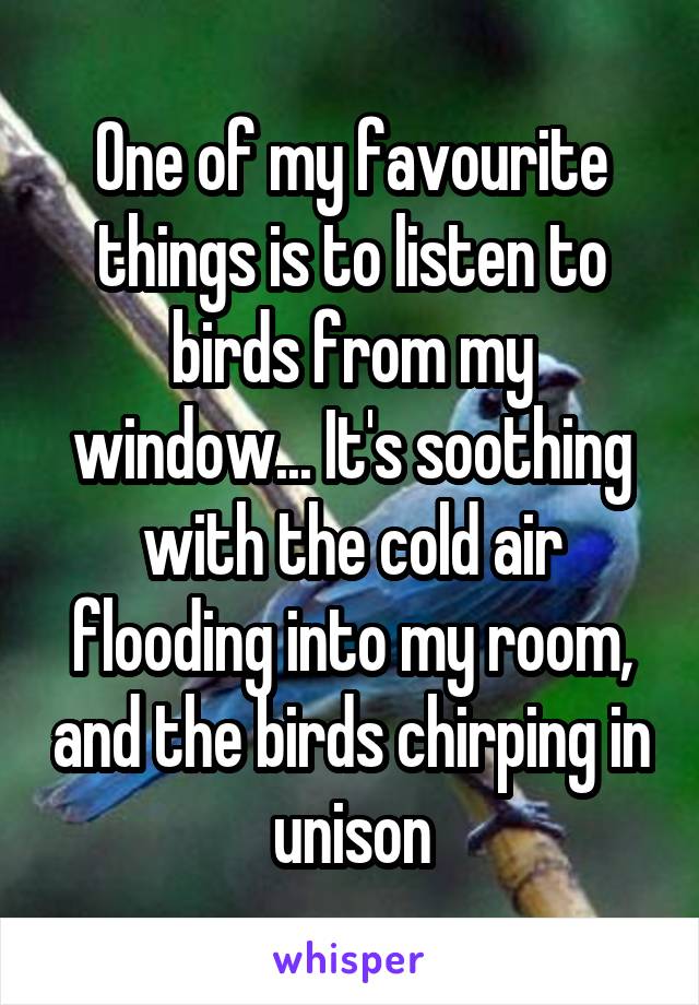 One of my favourite things is to listen to birds from my window... It's soothing with the cold air flooding into my room, and the birds chirping in unison