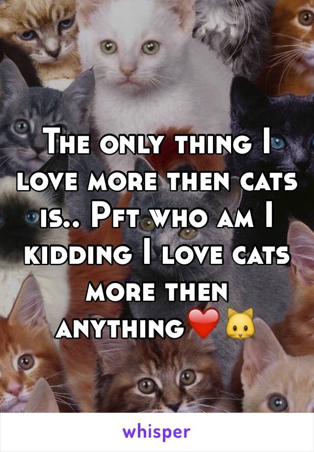 The only thing I love more then cats is.. Pft who am I kidding I love cats more then anything❤️🐱