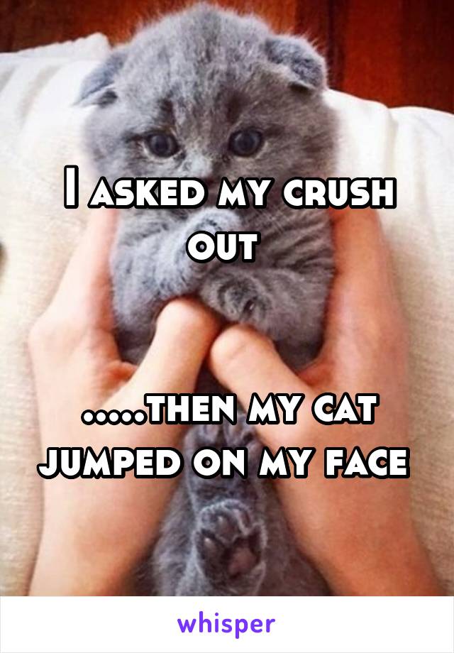 I asked my crush out 


.....then my cat jumped on my face 