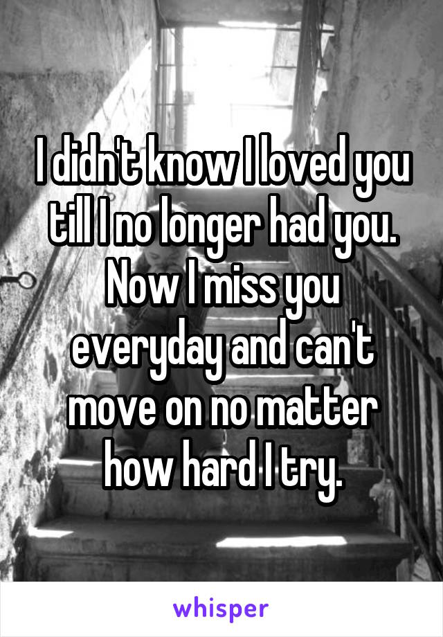 I didn't know I loved you till I no longer had you. Now I miss you everyday and can't move on no matter how hard I try.