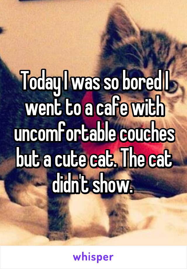 Today I was so bored I went to a cafe with uncomfortable couches but a cute cat. The cat didn't show. 