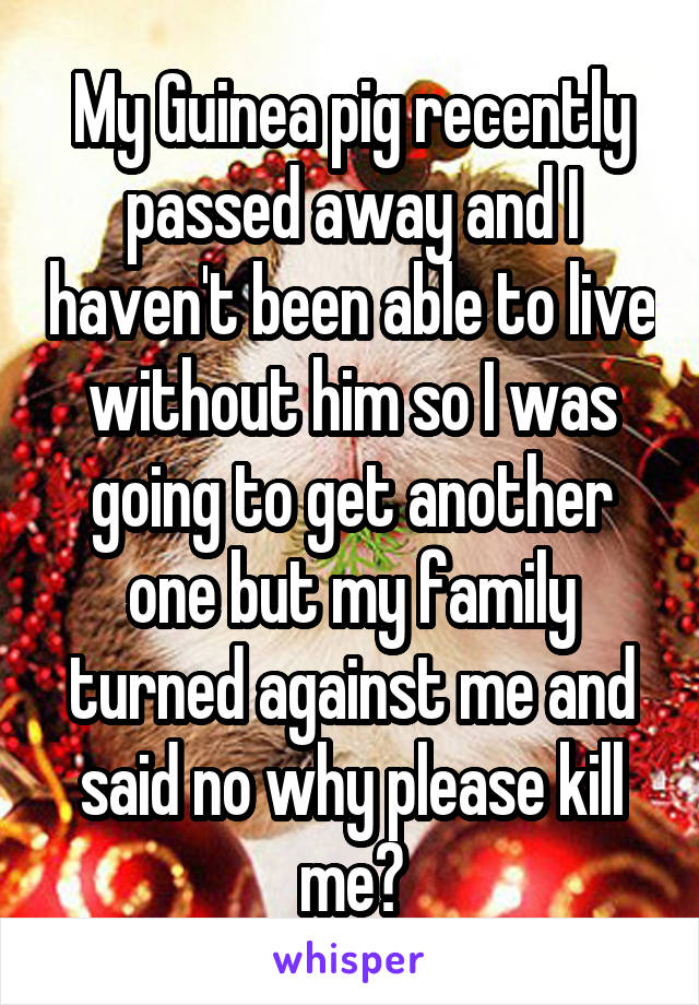 My Guinea pig recently passed away and I haven't been able to live without him so I was going to get another one but my family turned against me and said no why please kill me😭