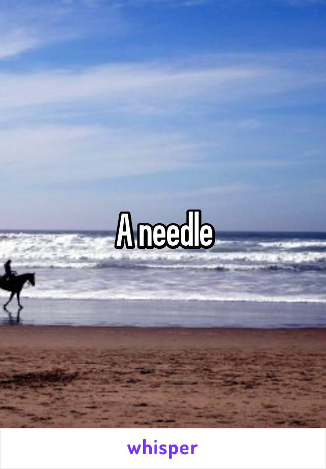 A needle