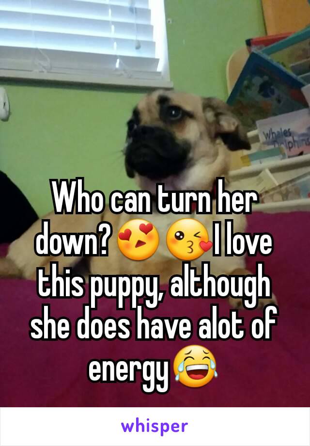 Who can turn her down?😍😘I love this puppy, although she does have alot of energy😂
