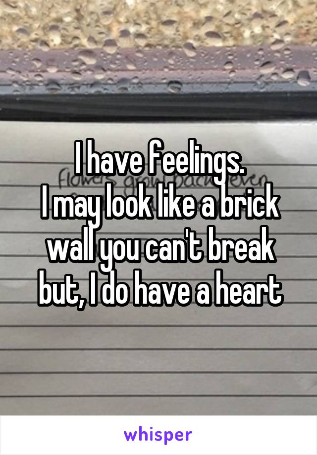 I have feelings.
I may look like a brick wall you can't break but, I do have a heart