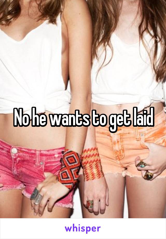 No he wants to get laid