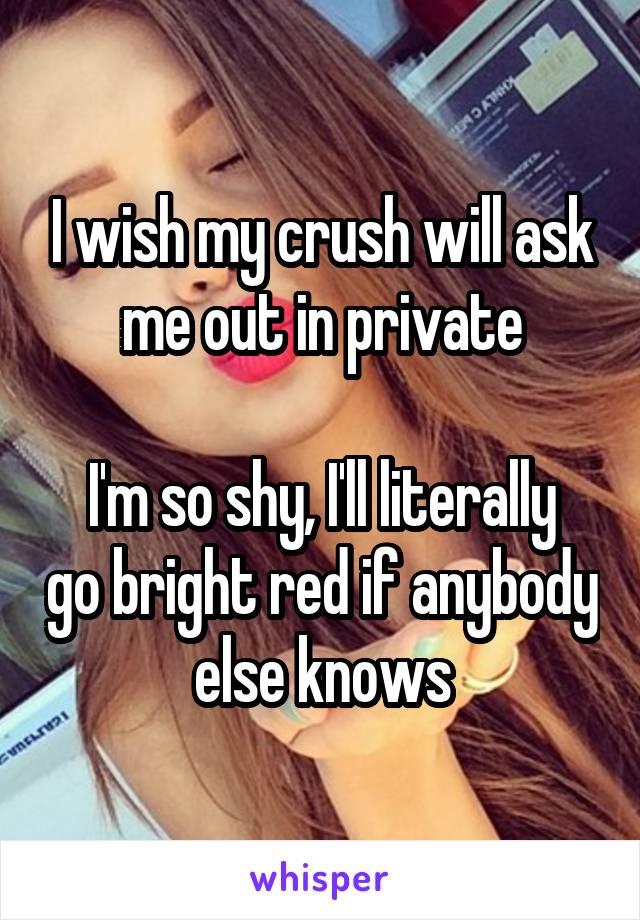 I wish my crush will ask me out in private

I'm so shy, I'll literally go bright red if anybody else knows