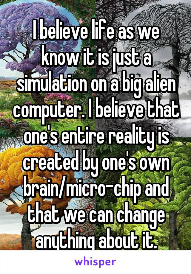 I believe life as we know it is just a simulation on a big alien computer. I believe that one's entire reality is created by one's own brain/micro-chip and that we can change anything about it.