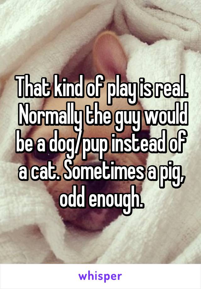 That kind of play is real.  Normally the guy would be a dog/pup instead of a cat. Sometimes a pig, odd enough.