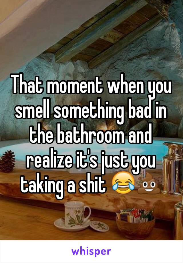 That moment when you smell something bad in the bathroom and realize it's just you taking a shit 😂💩