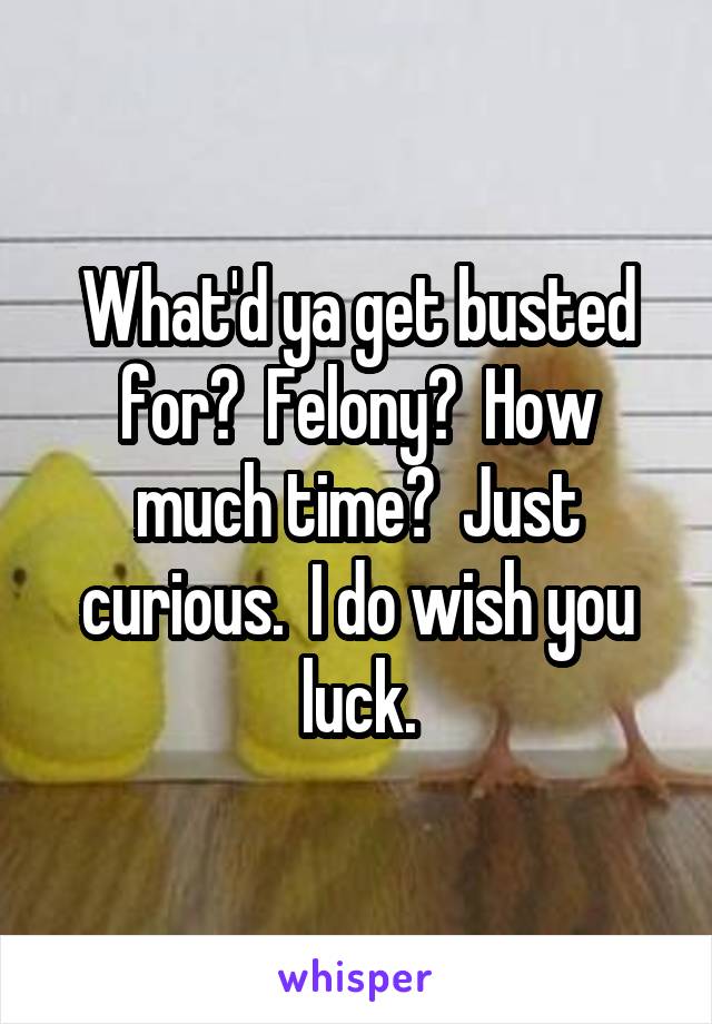 What'd ya get busted for?  Felony?  How much time?  Just curious.  I do wish you luck.