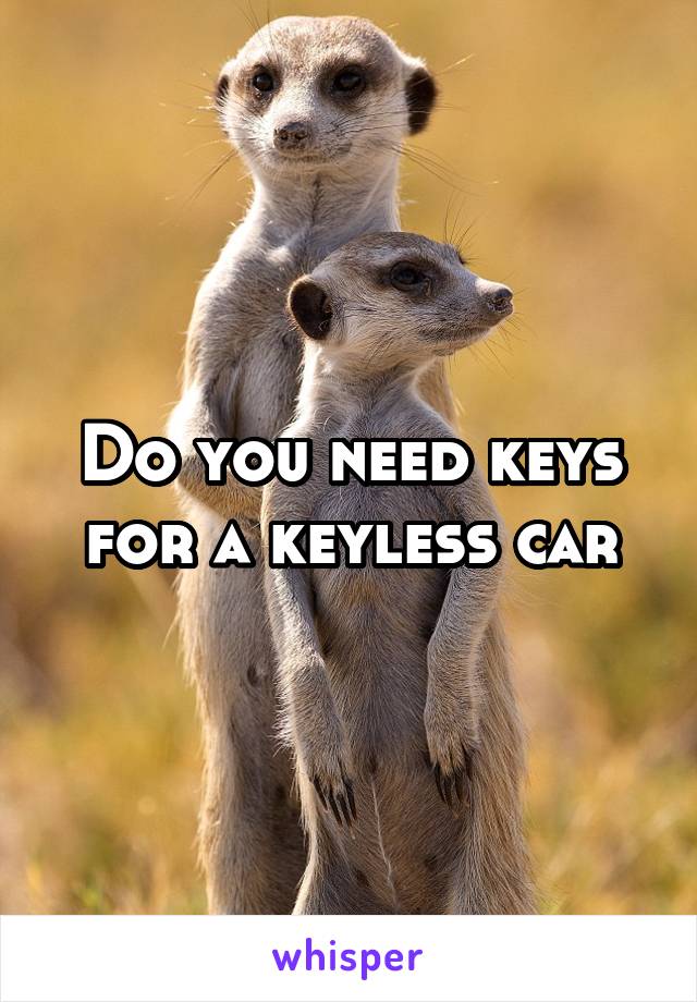 Do you need keys for a keyless car